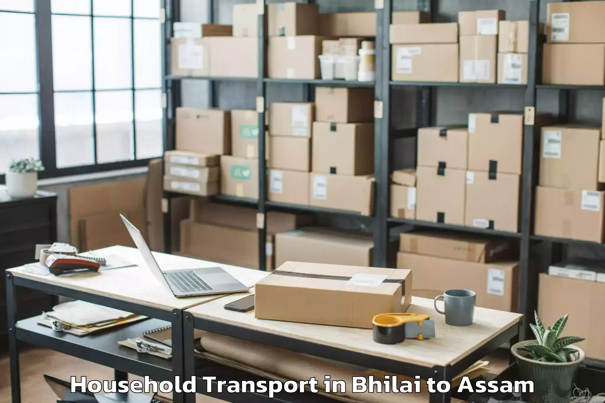 Leading Bhilai to Dhing Town Household Transport Provider